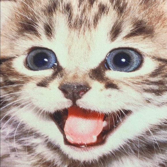 iColor laptop handle bag. Cute kitten photo - Picture 4 of 7